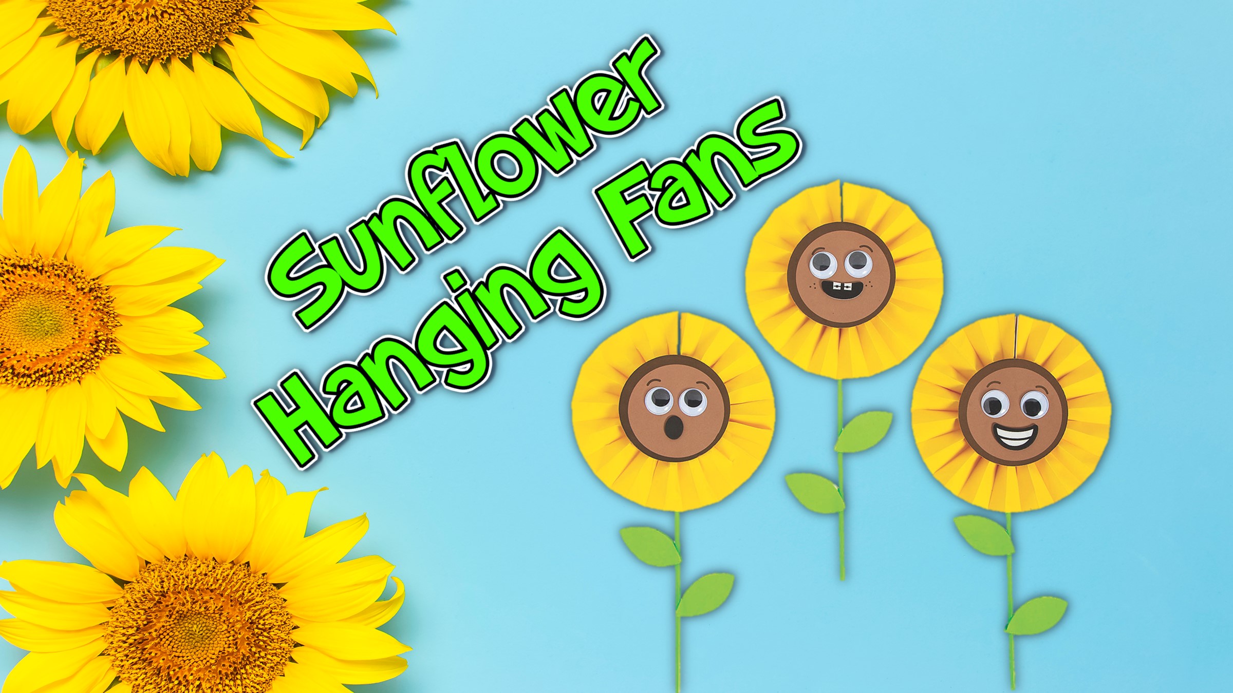 Turner Take Home Sunflower Hanging Paper Fan Kansas City, Kansas